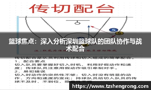 OE欧亿体育官方网站