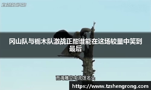 冈山队与栃木队激战正酣谁能在这场较量中笑到最后